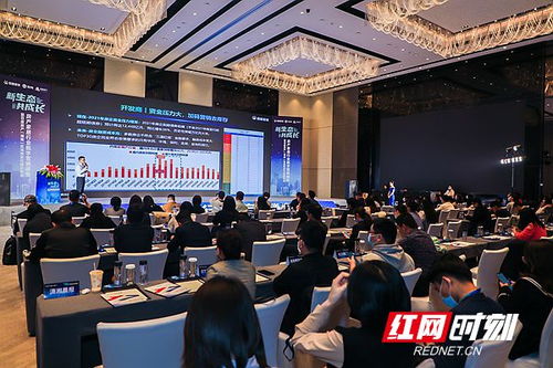 房產(chǎn)湖南站正式啟航，深耕代理服務(wù)助力湖湘地產(chǎn)新篇